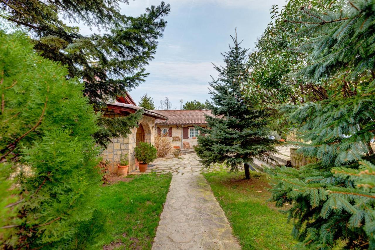 Casa Lavanda Boutique Hotel Ağva Exteriér fotografie