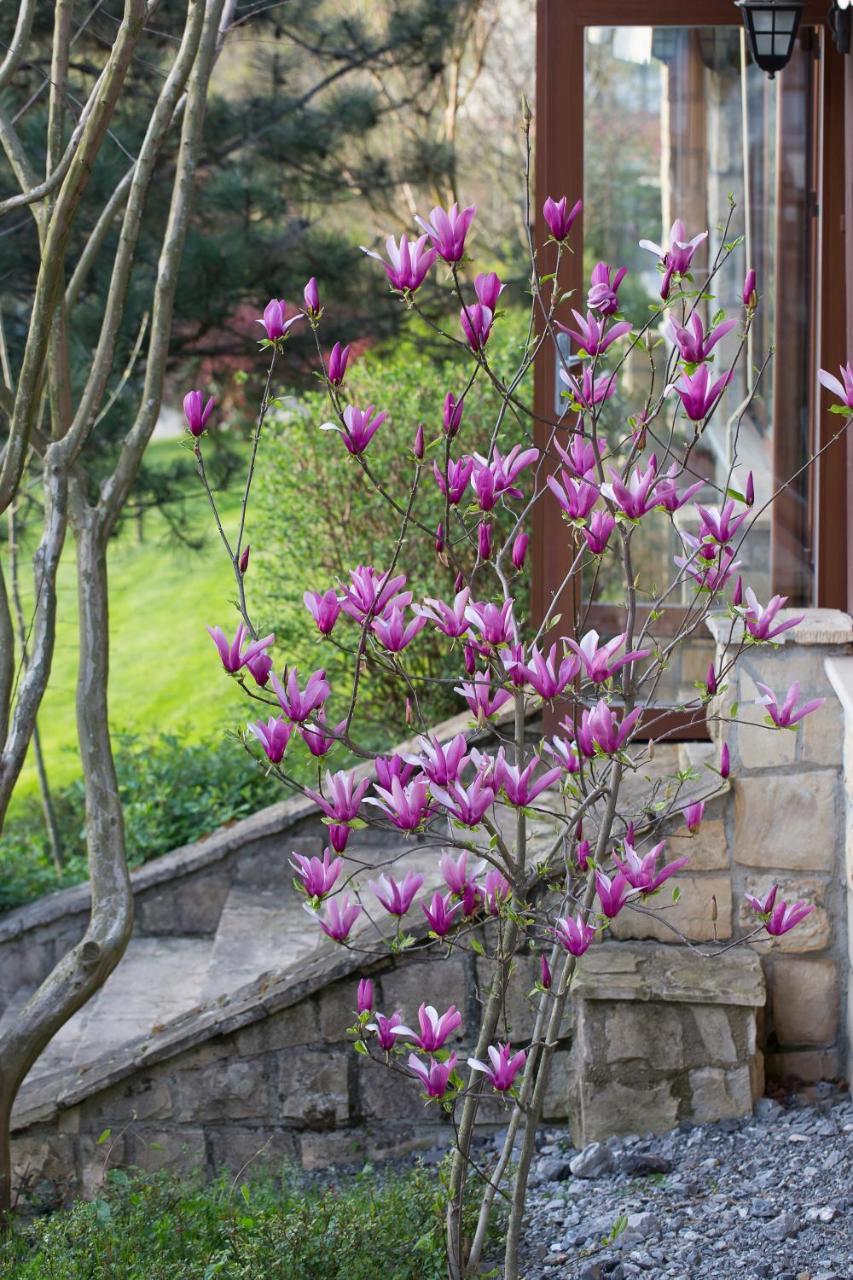 Casa Lavanda Boutique Hotel Ağva Exteriér fotografie